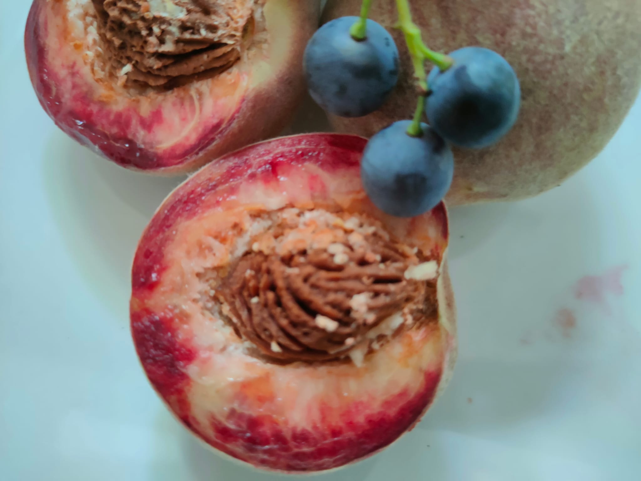  pesche, vigna, naturali