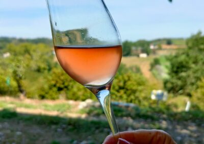 Vinum Rosæ, il nostro Piemonte Rosato DOC 2022 ottenuto al 100% da Barbera