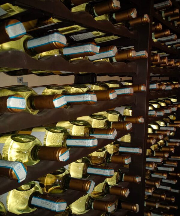 Il Paladin Cortese in affinamento in cantina